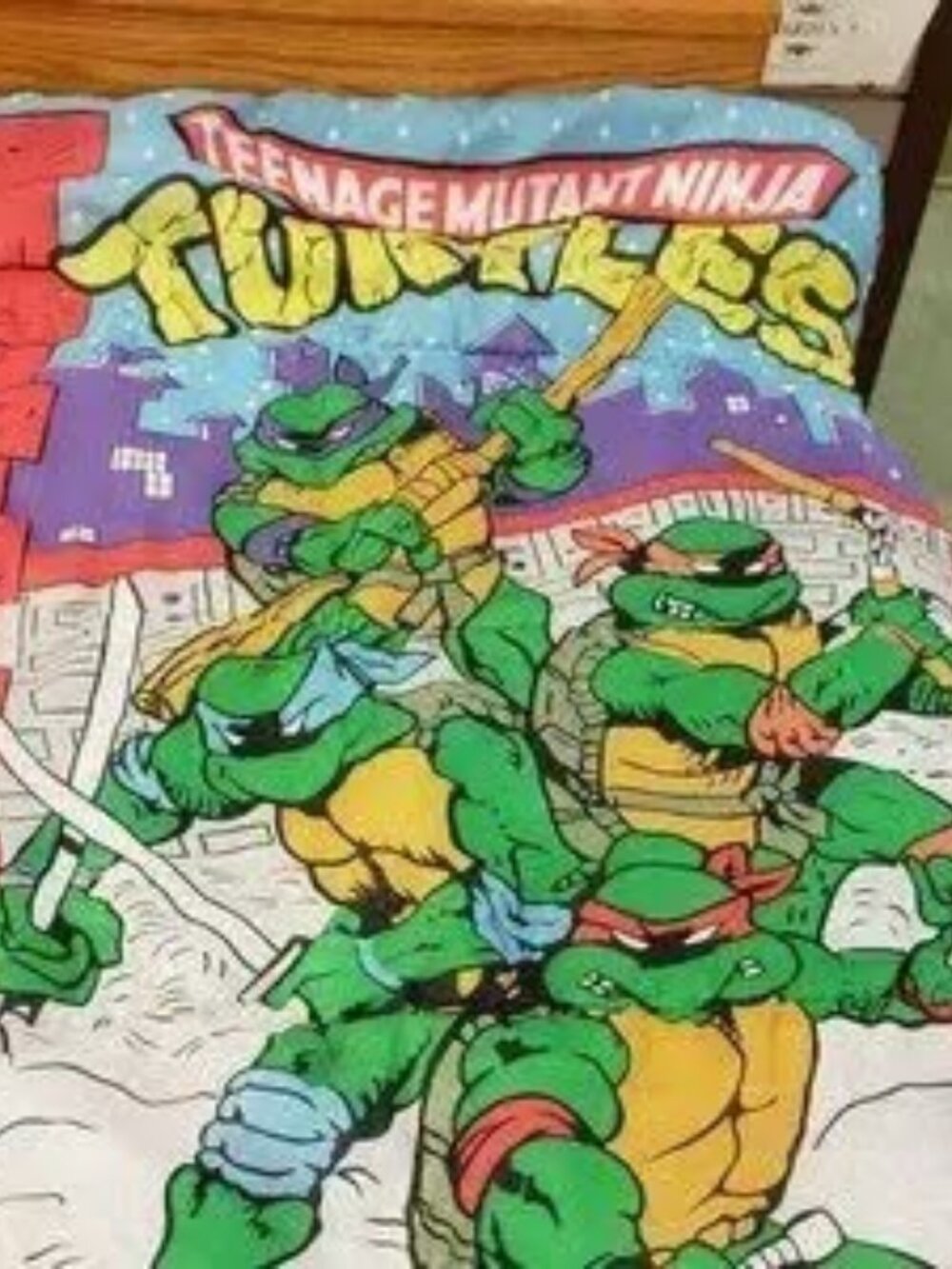 vintage 1980s TMNT Teenage Mutant Ninja Turtles Sleeping Bag